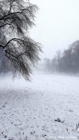 Zimowe pejzaże...