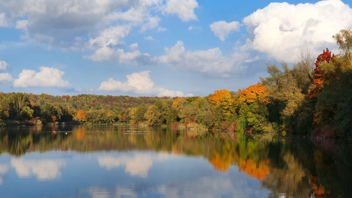 Rozw&oacute;j MDXXXVIII