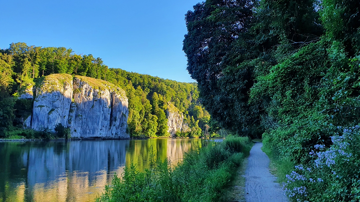 Rozw&oacute;j MCCLVII