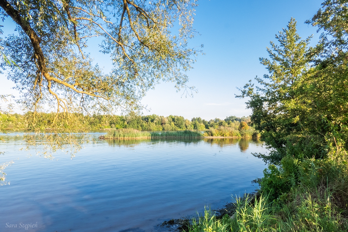 Rozw&oacute;j DCCLII