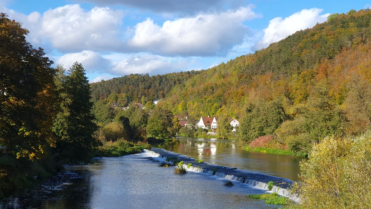 Rozw&oacute;j MCCCXCI