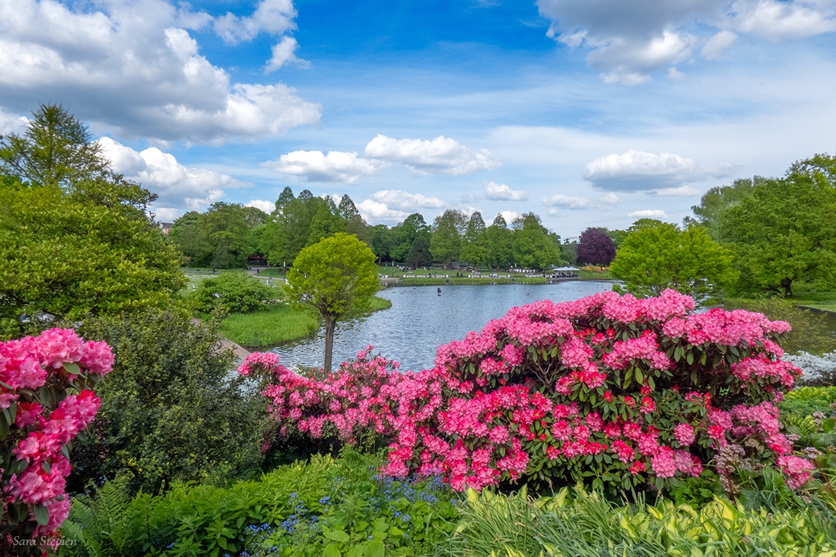 Rozw&oacute;j DCCXXX