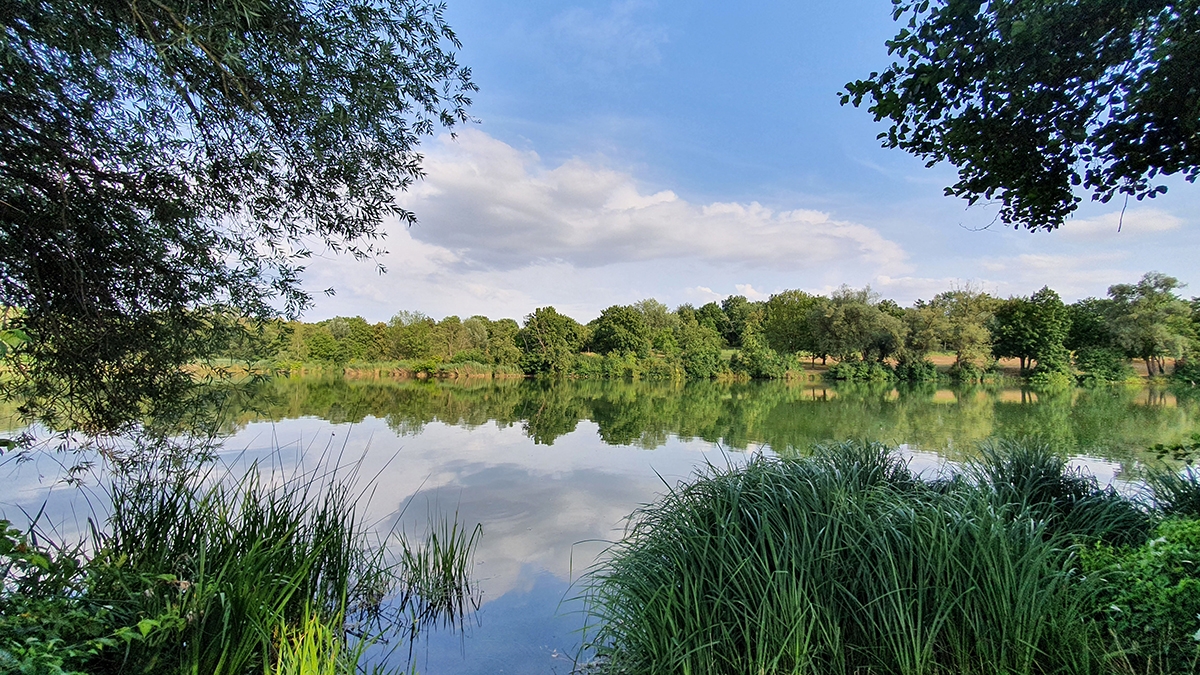 Rozw&oacute;j MCCLXVI