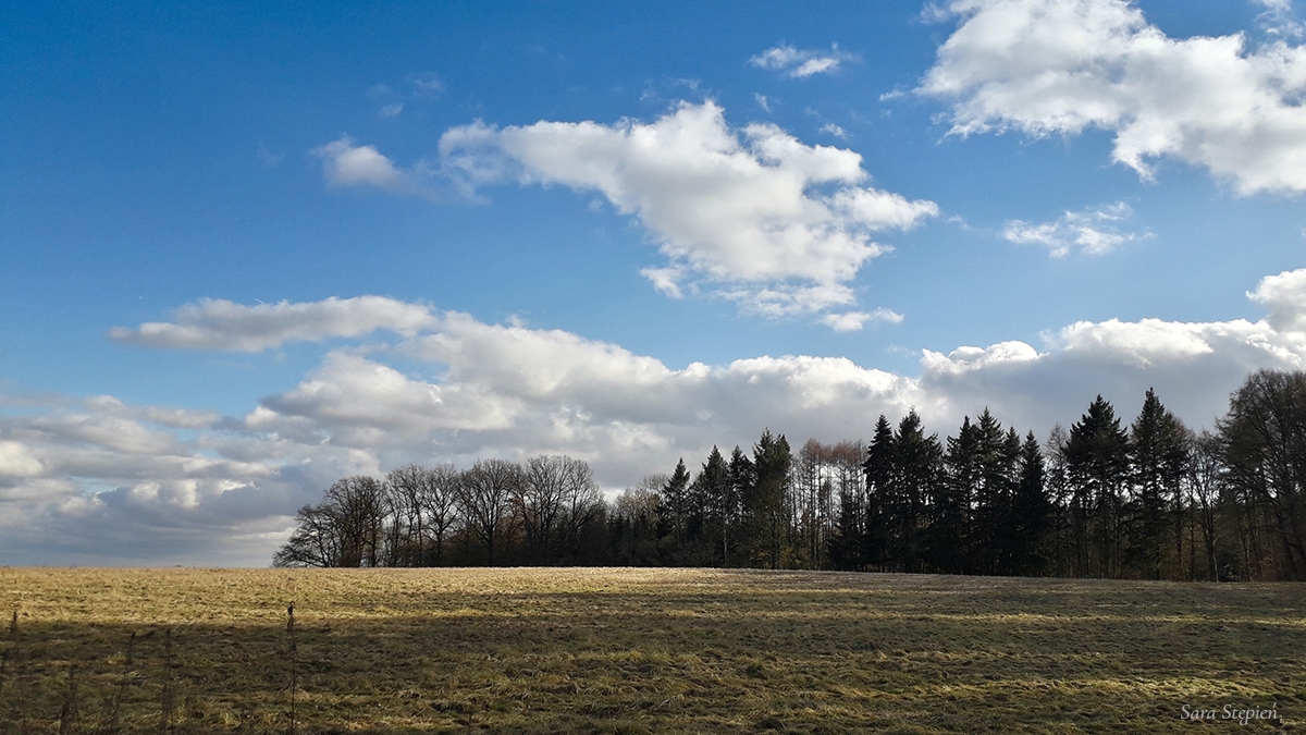 Rozw&oacute;j MLXXXII