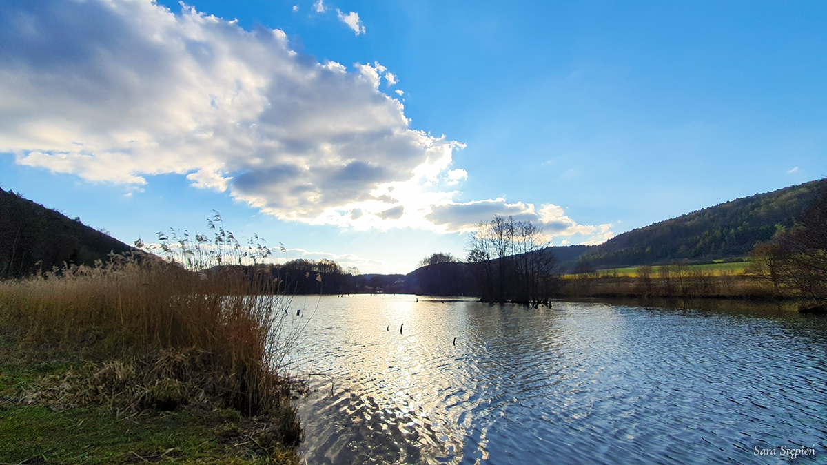 Rozw&oacute;j MLXXXV