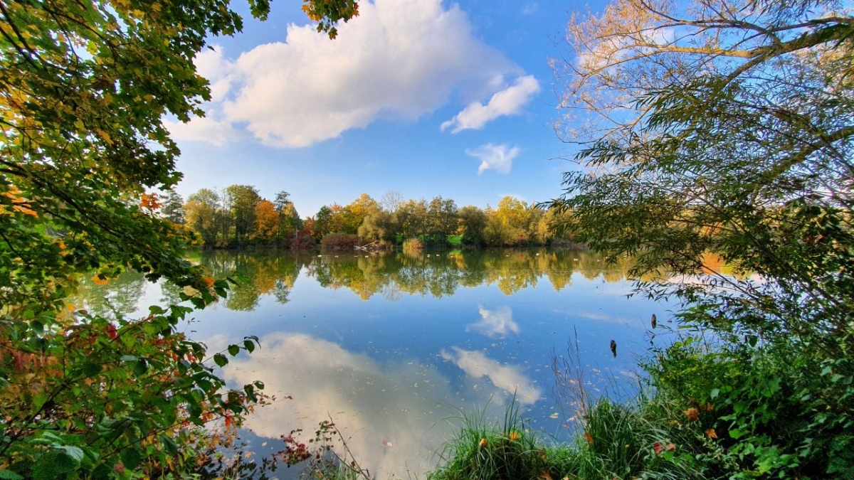 Rozw&oacute;j MDXXIX