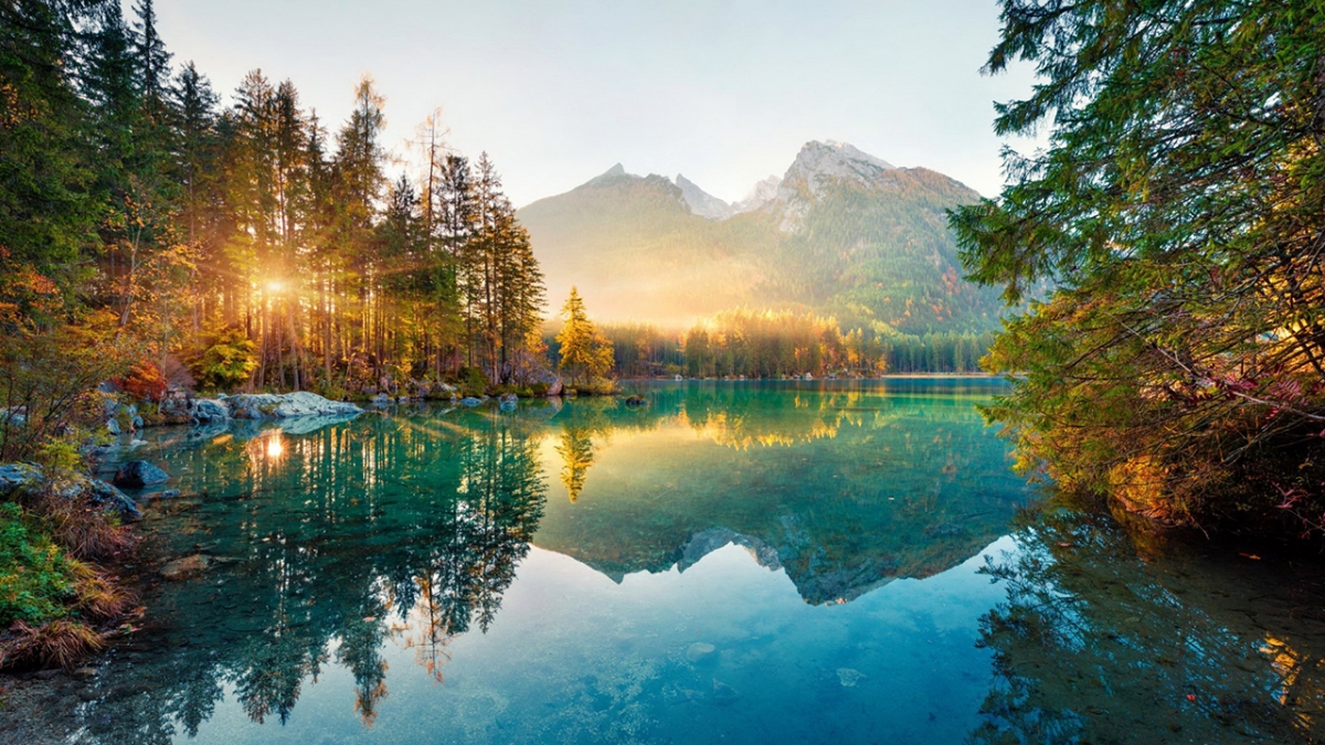 Rozw&oacute;j MCCCXX