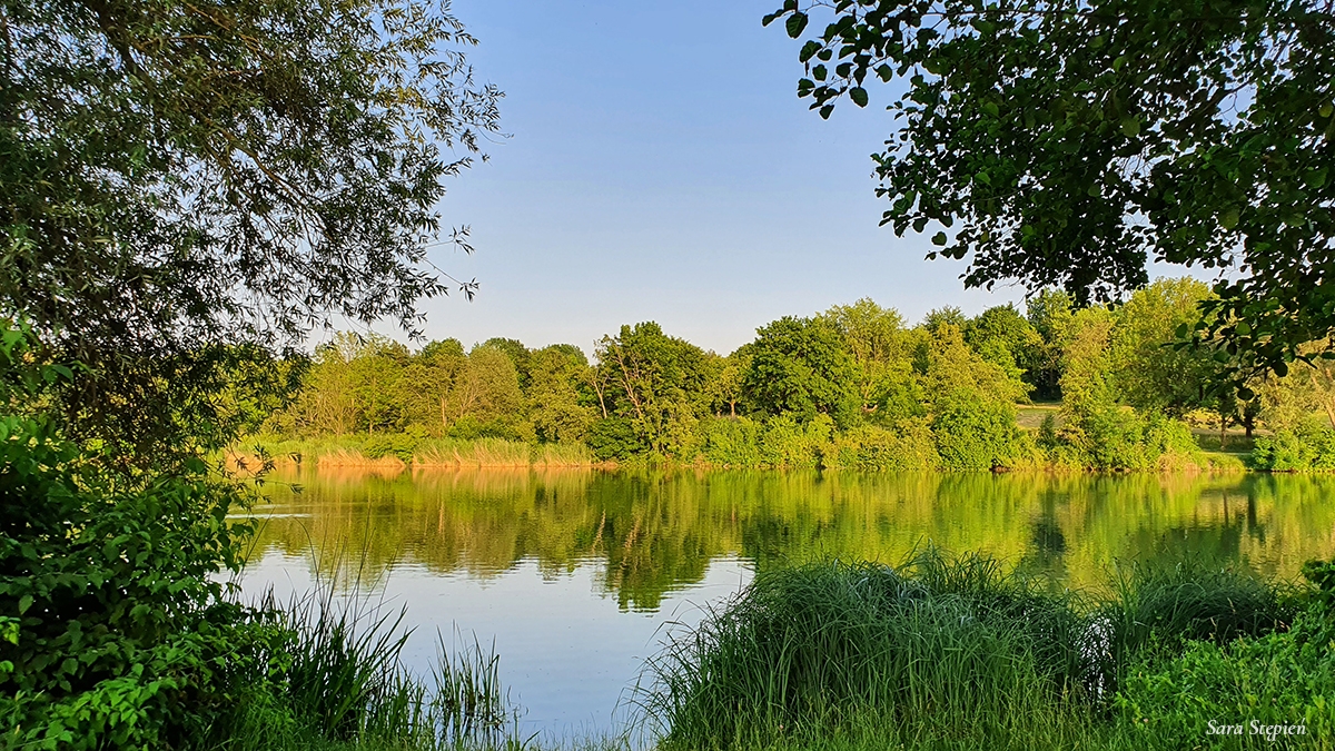 Rozw&oacute;j MCCXXXVII