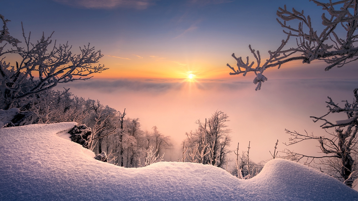 Rozw&oacute;j MLXXVIII