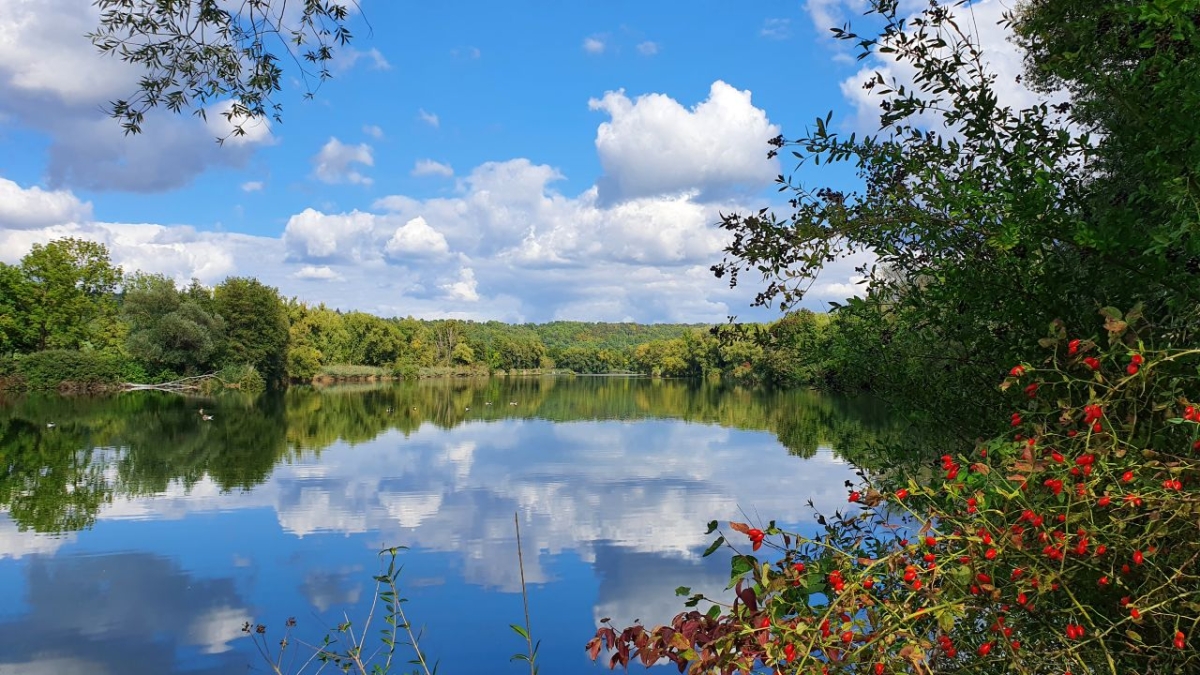 Rozw&oacute;j MDXXVIII