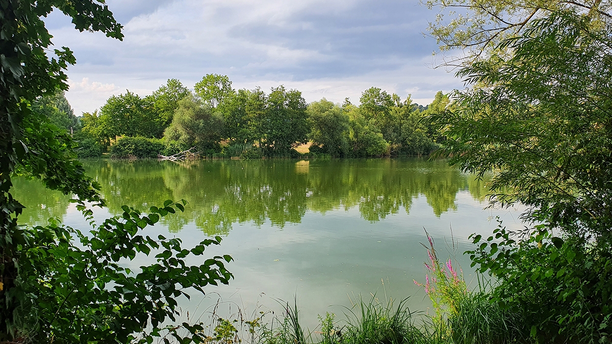 Rozw&oacute;j MCCLXIV