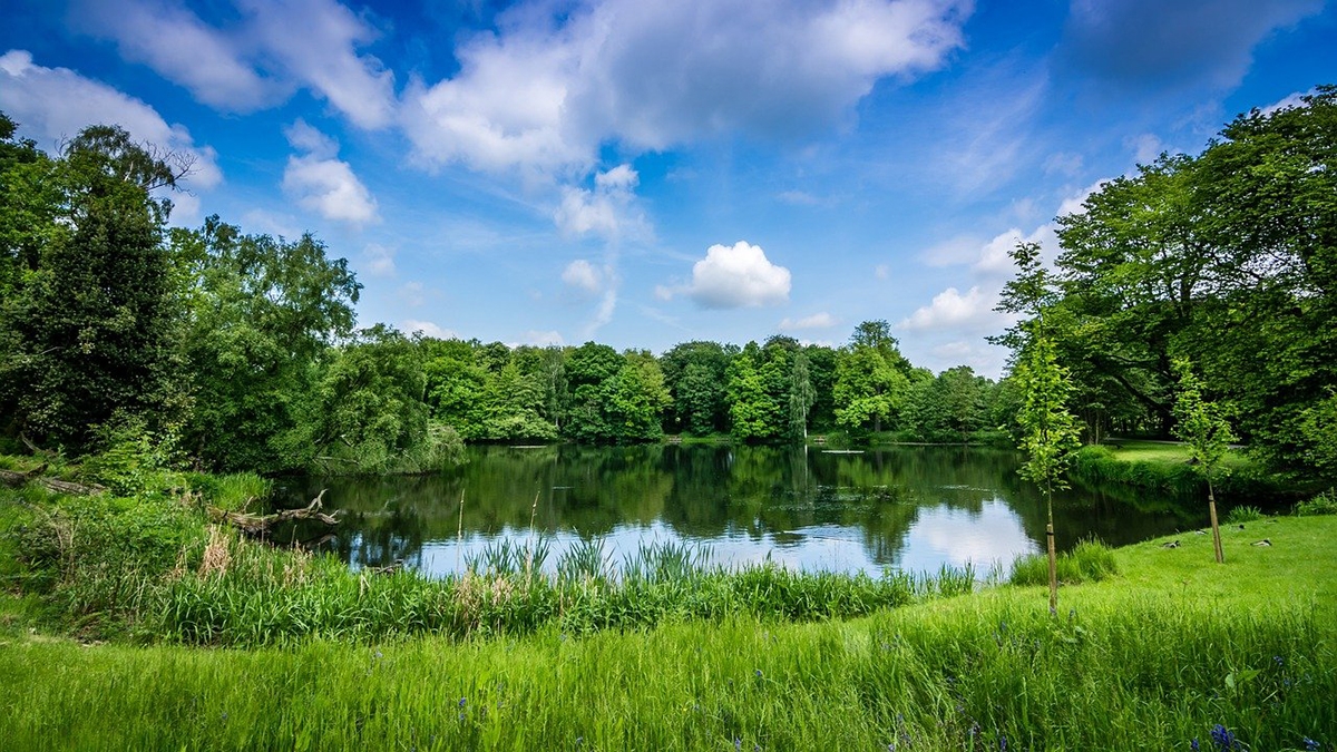 Rozw&oacute;j CMLXXXI