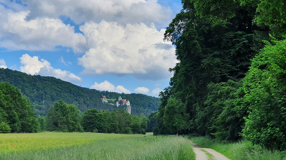 Rozw&oacute;j CCCXXI