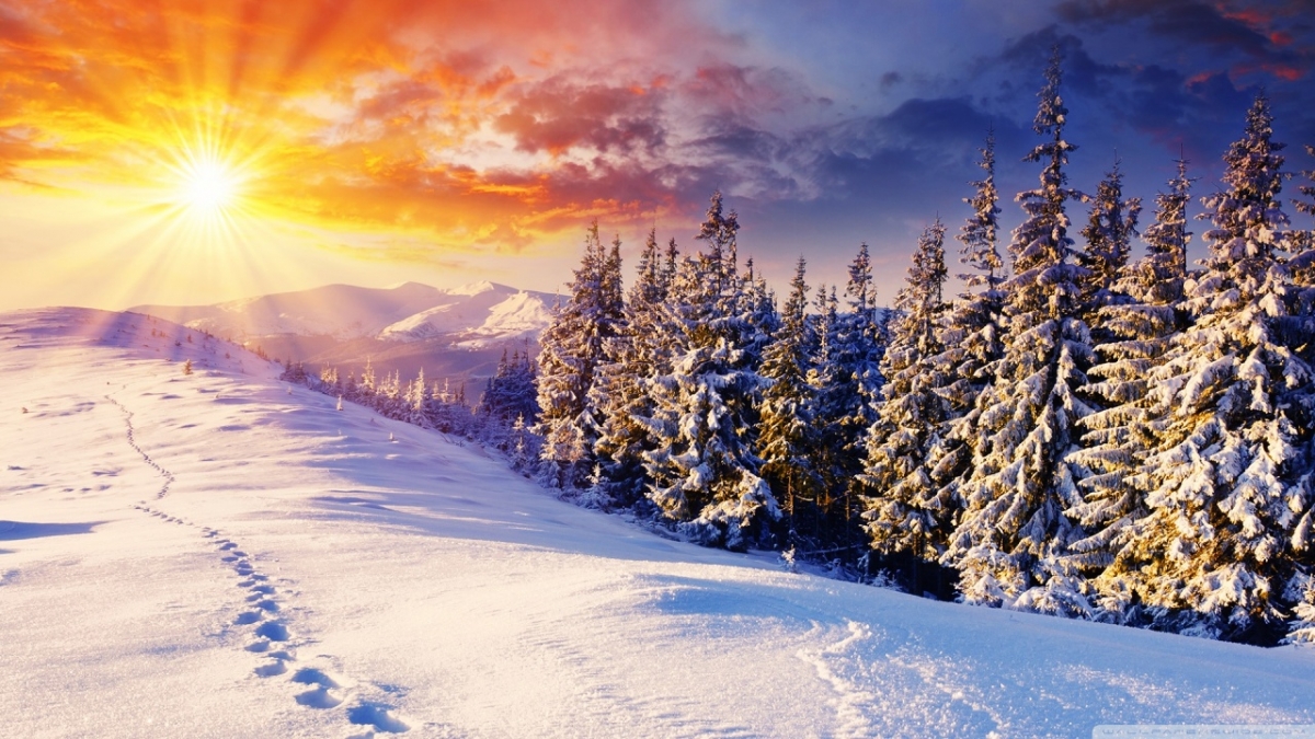 Rozw&oacute;j DCCCXCIII