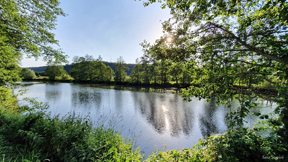 Rozw&oacute;j MCCXLIII