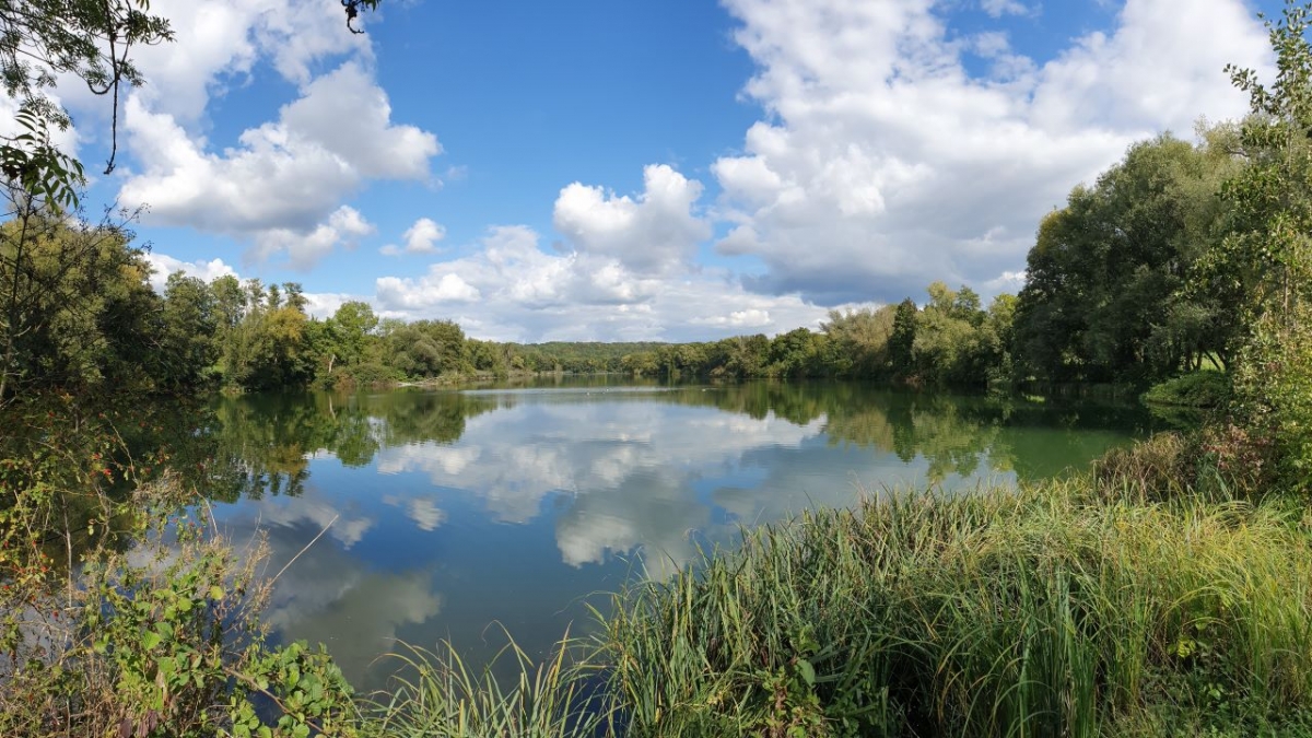 Rozw&oacute;j MCCCLXXVI