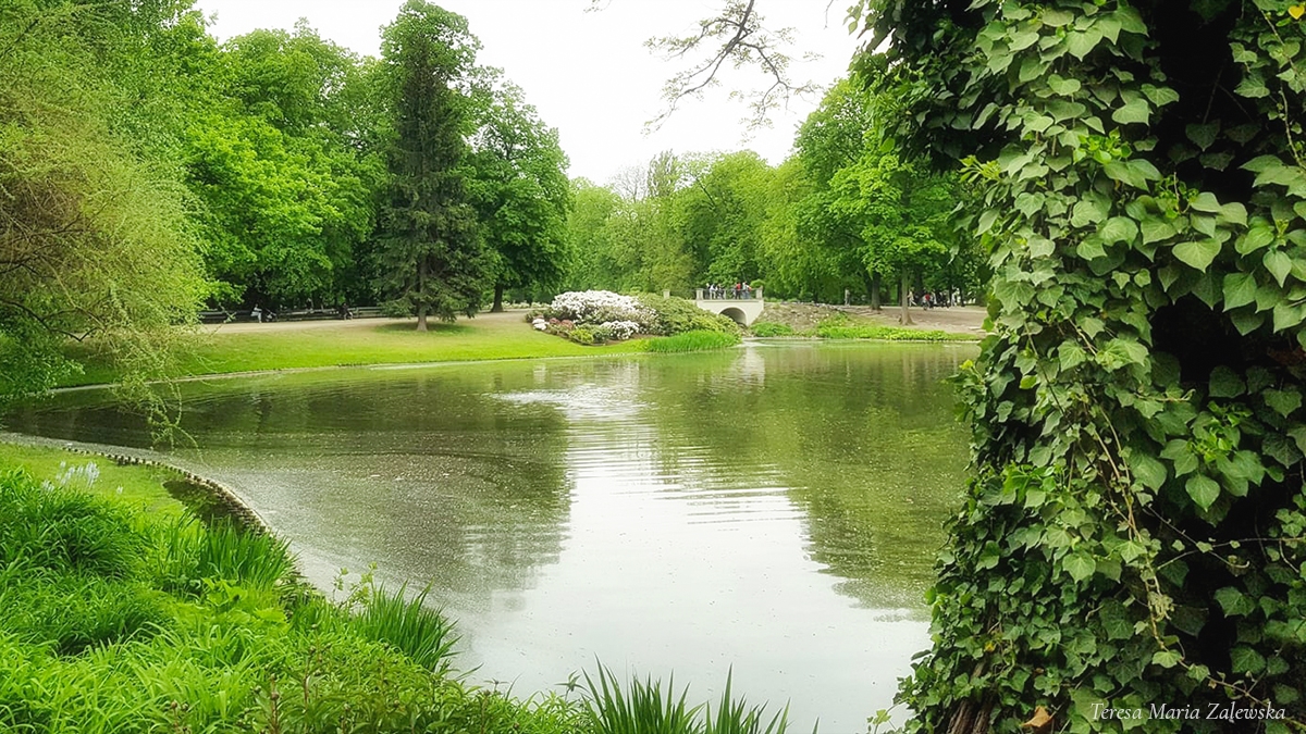 Rozw&oacute;j CMLXXV