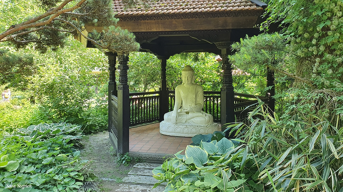 Rozw&oacute;j CCCXIV