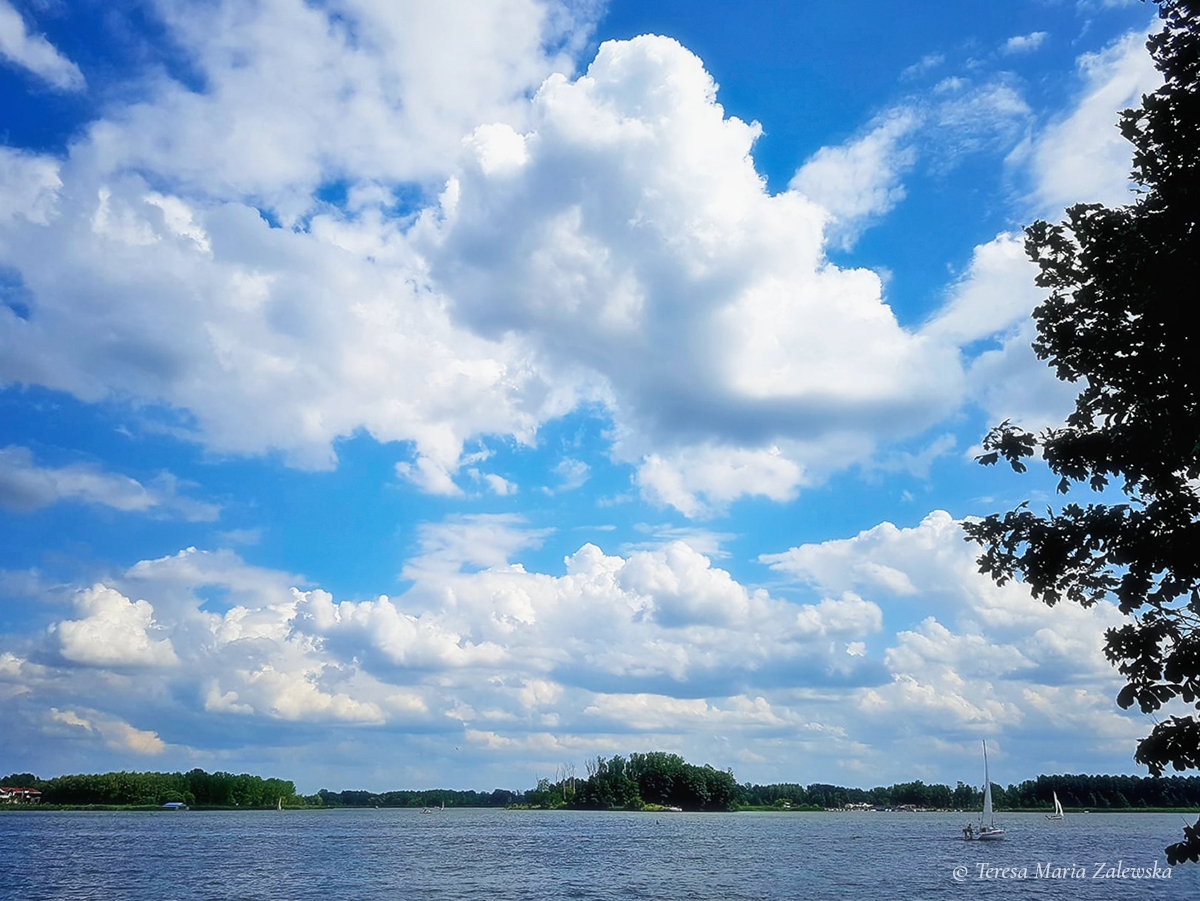 Rozw&oacute;j DLXXXII