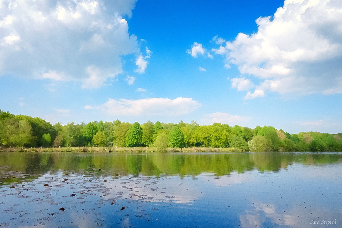 Rozw&oacute;j DCCXXIX