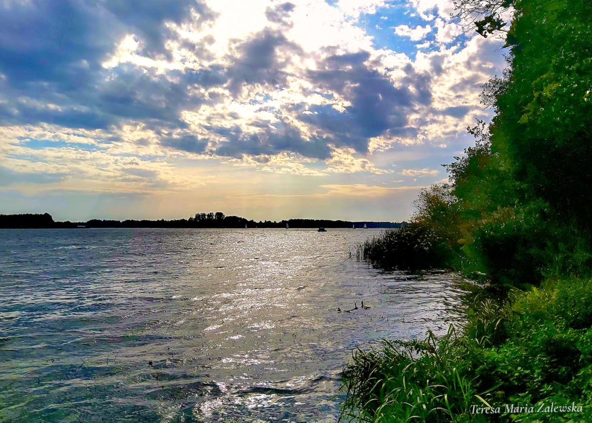 Rozw&oacute;j DCCXCIX