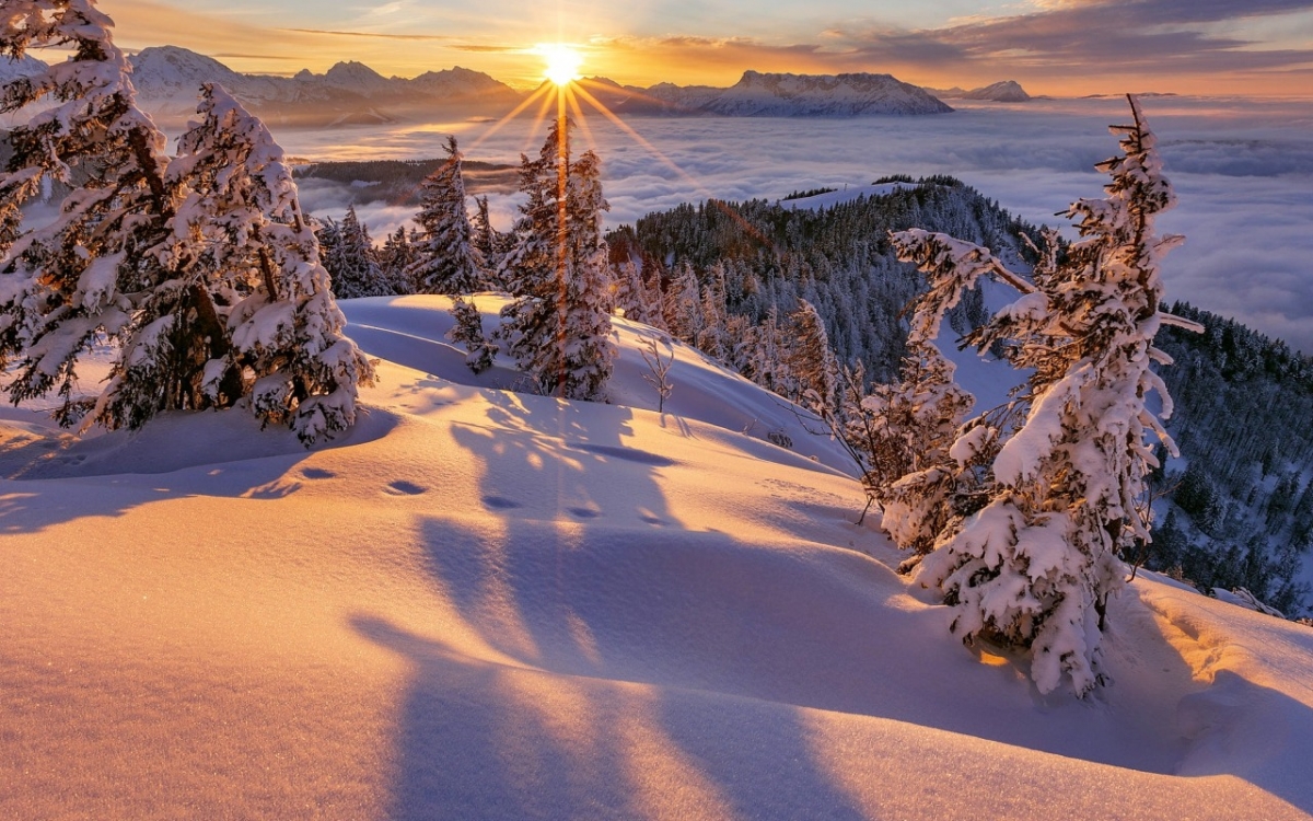 Rozw&oacute;j DCCCXCVI