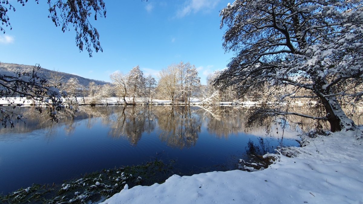 Rozw&oacute;j MDXLIV