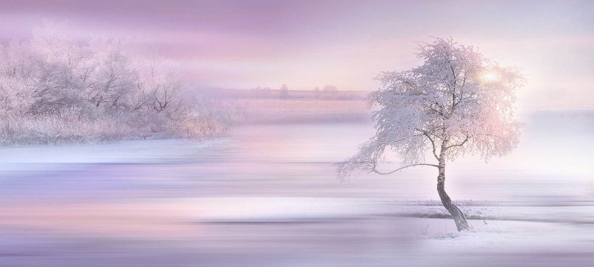 Rozw&oacute;j DCXXII