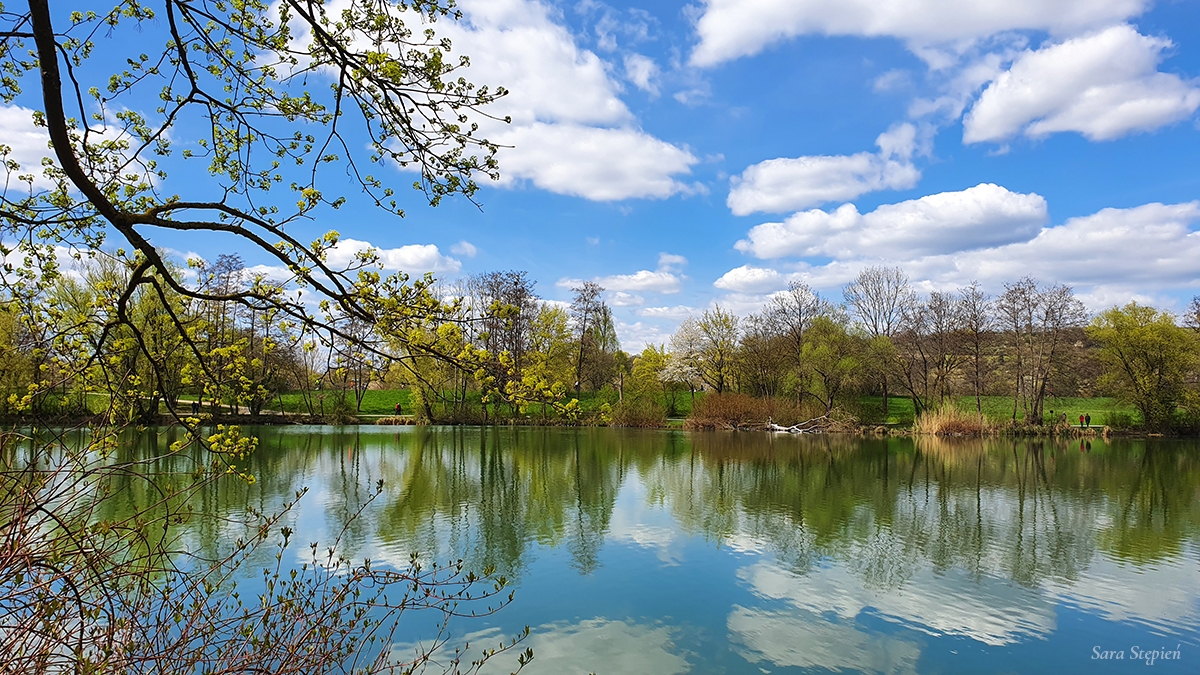 Rozw&oacute;j MCXVIII