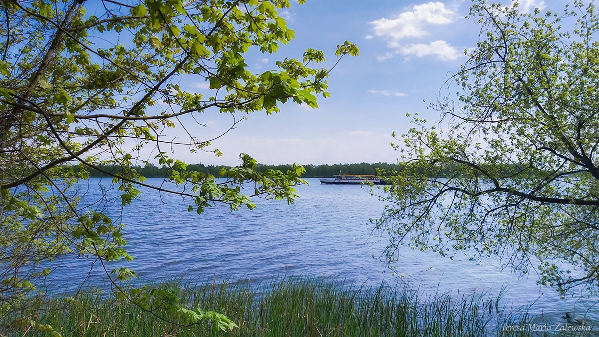 Rozw&oacute;j CMLXVIII