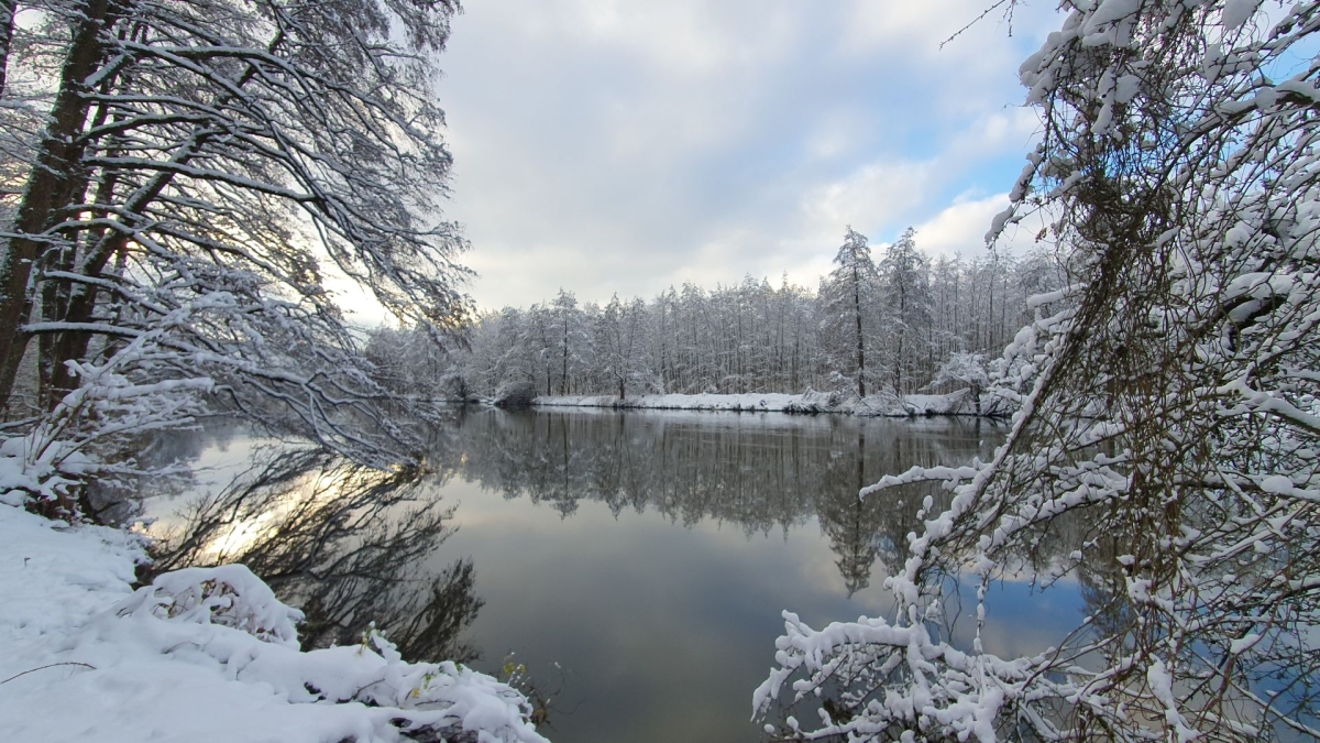 Rozw&oacute;j MDXLVII