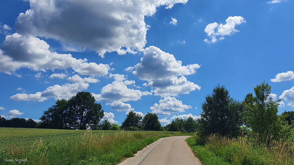 Rozw&oacute;j CDXLVII