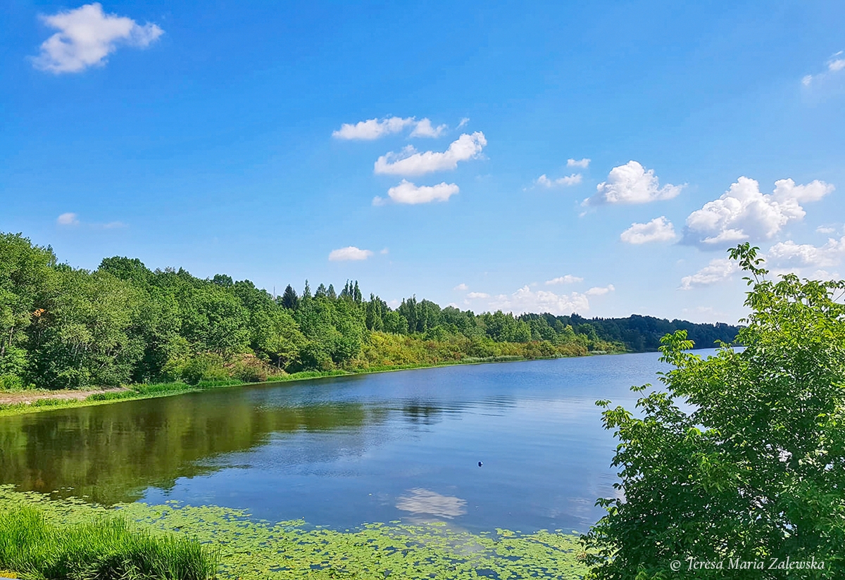 Rozw&oacute;j DLXXXII