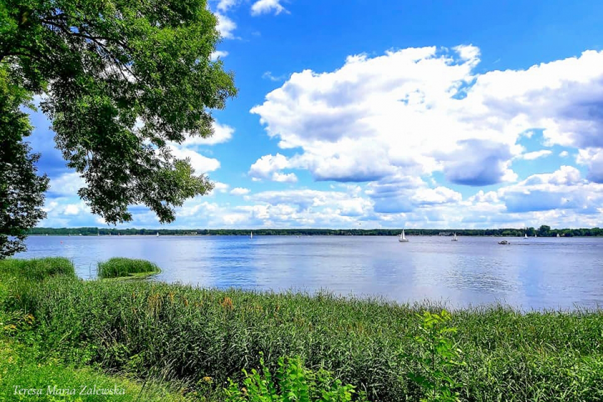 Rozw&oacute;j DCCXLIX