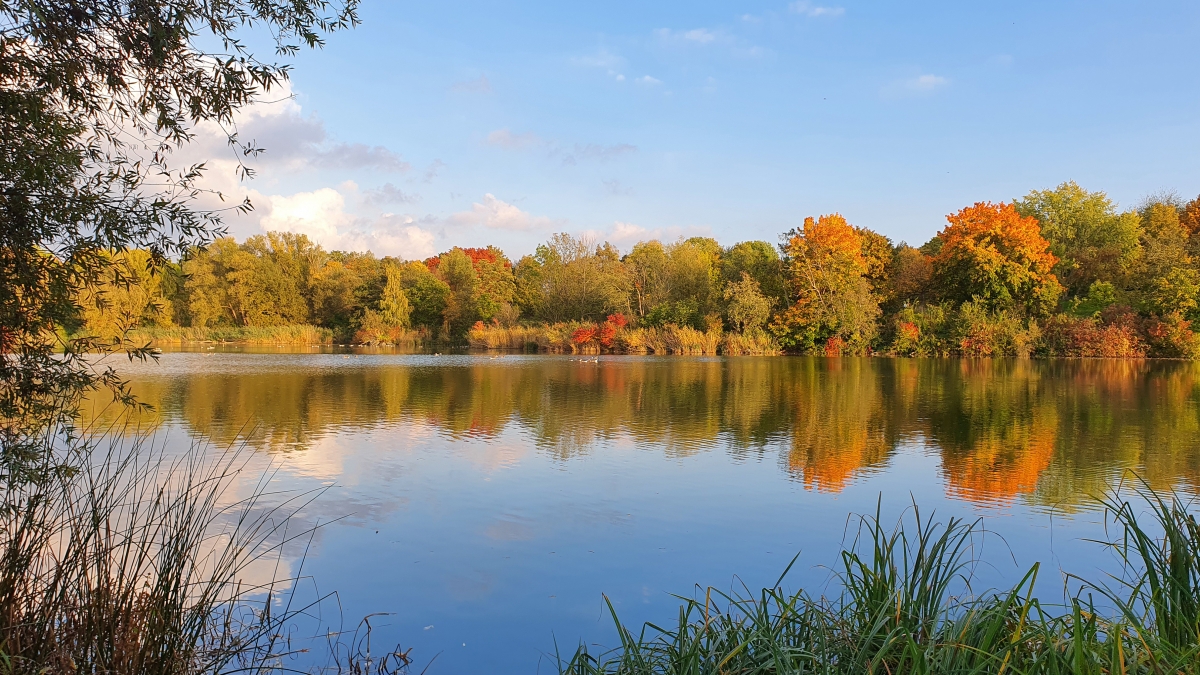 Rozw&oacute;j MCCCXIX