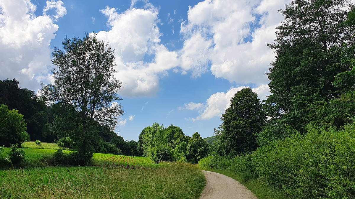 Rozw&oacute;j CCCXXII