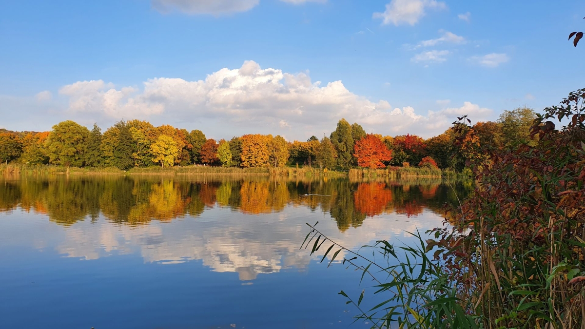 Rozw&oacute;j MDXXXIX