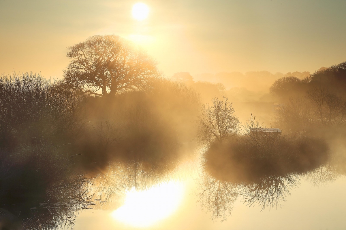 Rozw&oacute;j DCCCLV