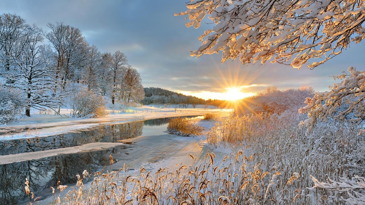 Rozw&oacute;j MLXXIX