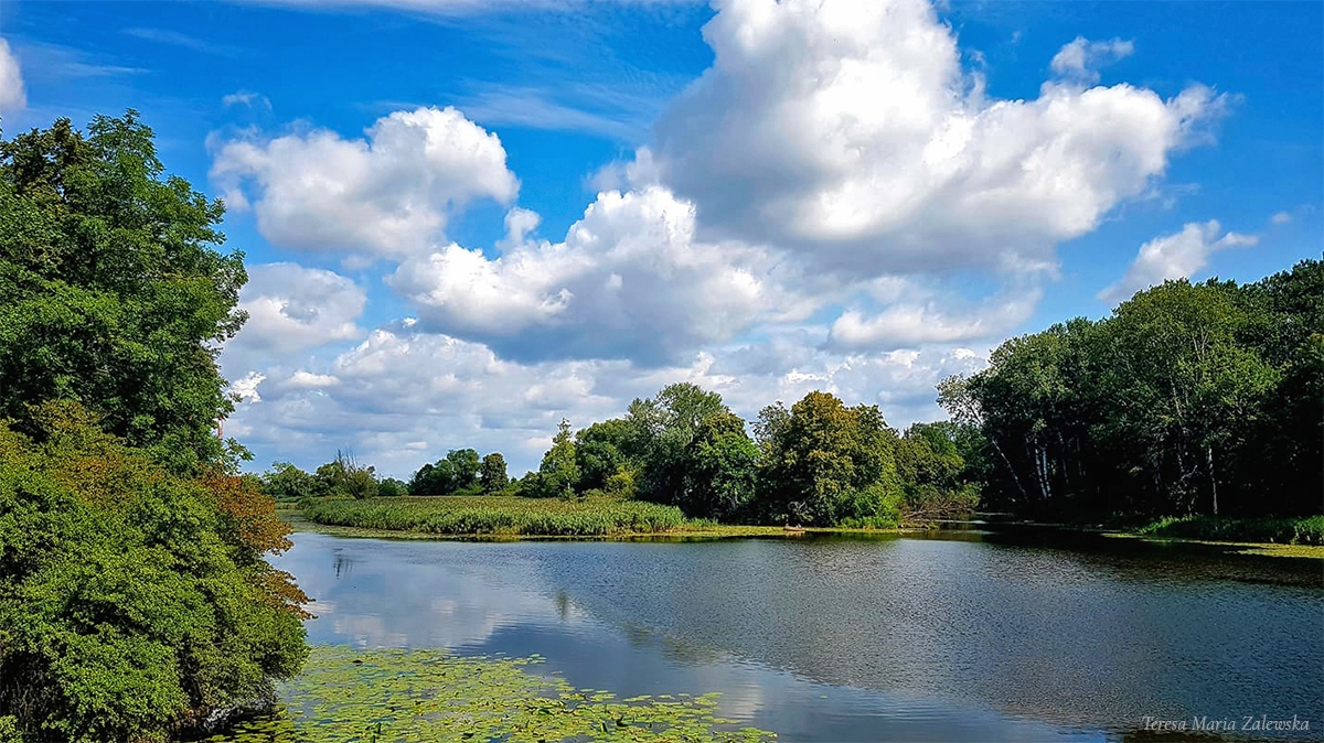 Rozw&oacute;j CMLXIII