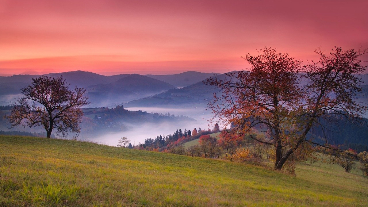 Rozw&oacute;j MXLVII