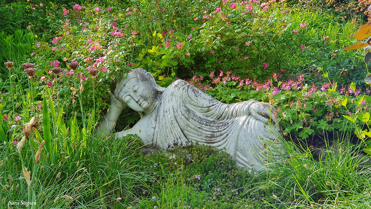 Rozw&oacute;j CCCXIII