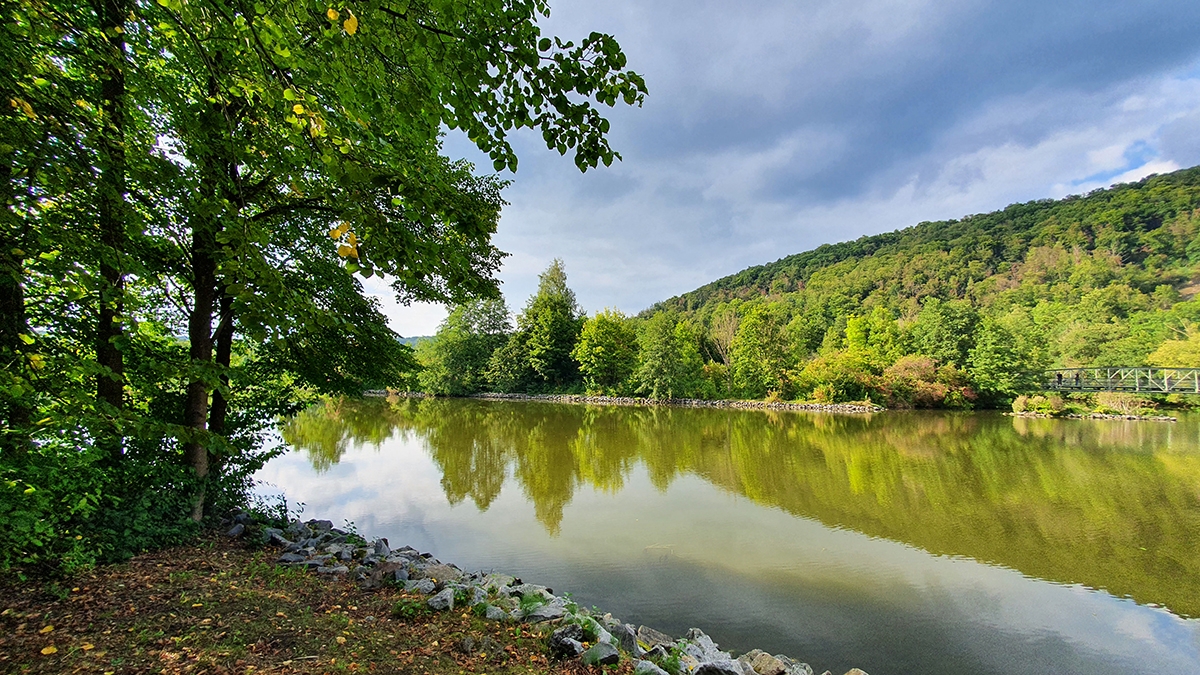 Rozw&oacute;j MCCXCVI