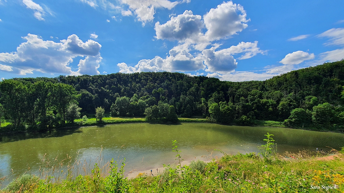 Rozw&oacute;j CDLIII