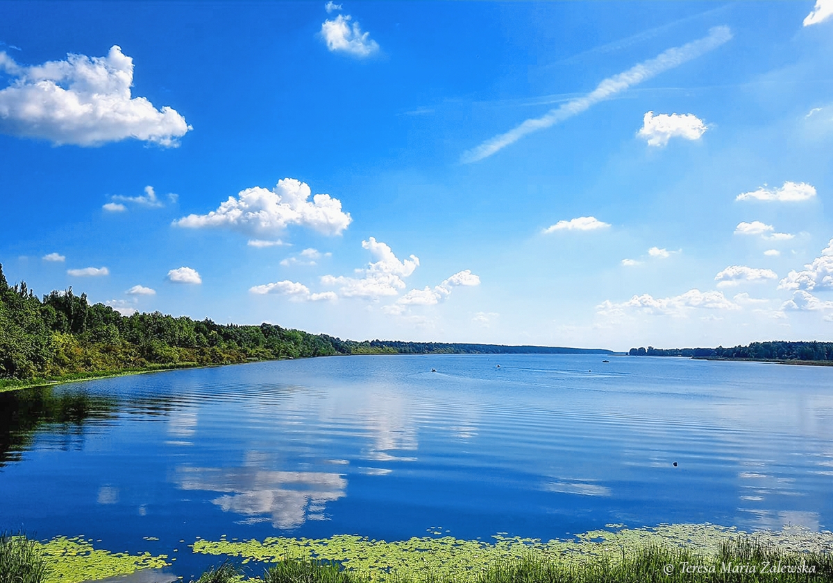 Rozw&oacute;j DLXXXIII