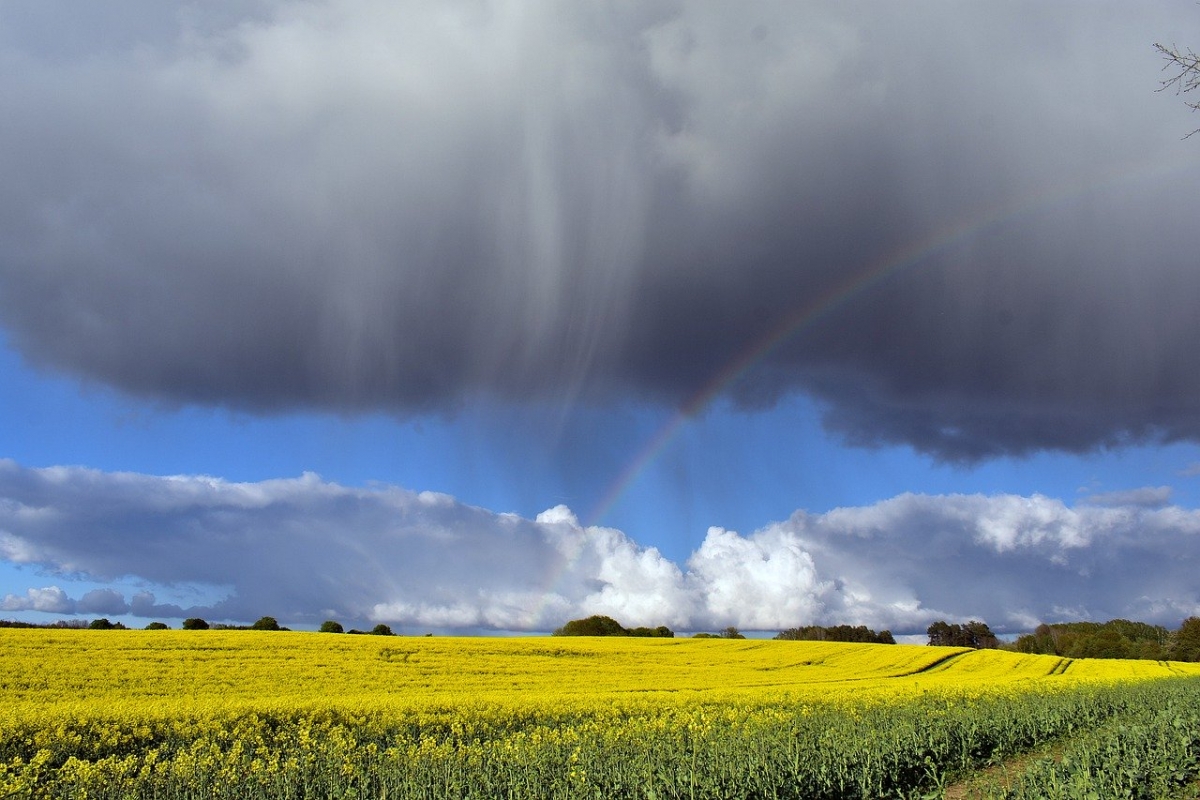 Rozw&oacute;j DCCLXXVI