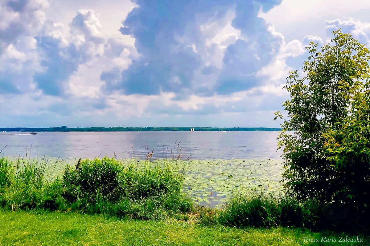 Rozw&oacute;j DCCXVIII