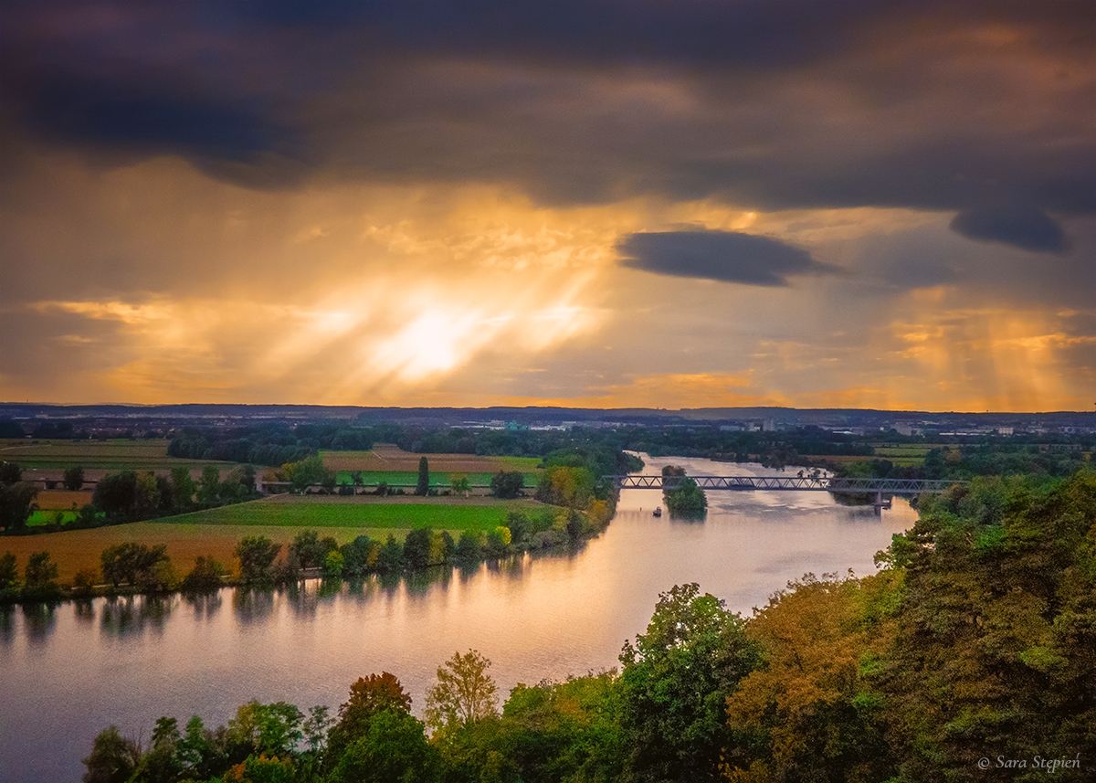 Rozw&oacute;j CDXCVII