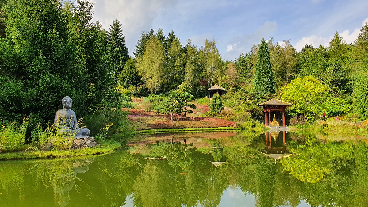 Rozw&oacute;j MCCXCV