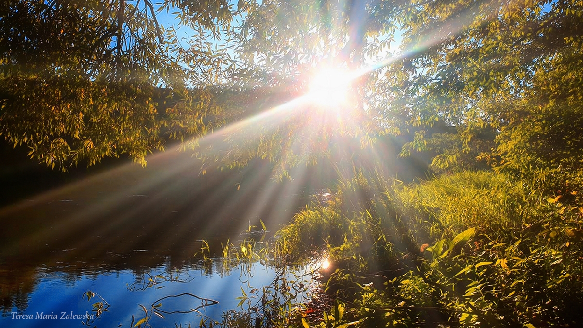 Rozw&oacute;j MXXXII